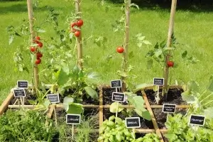 jardinage blog jardipolys 1